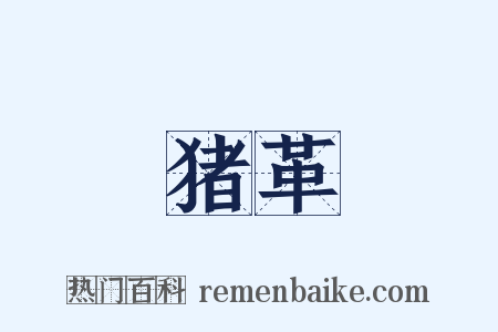 猪革是什么意思的图片